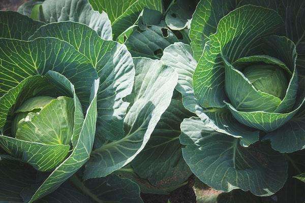 26 Weeks Pregnant After Miscarriage: Endometriosis and Rheumatoid Arthritis