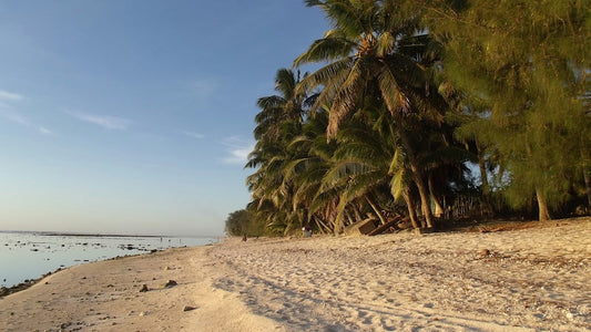 Rarotonga with Kids: The Ultimate NZ Family Travel Guide