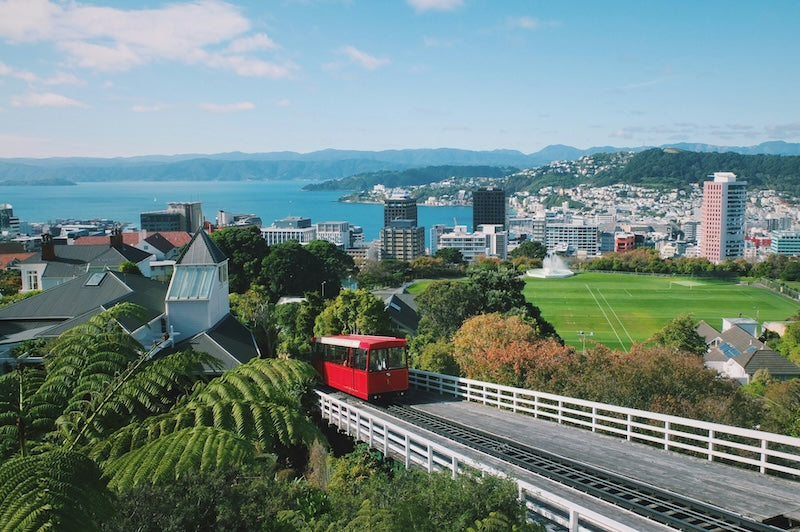 School Holiday Activities Wellington Families Will Actually Enjoy (2026 Guide)