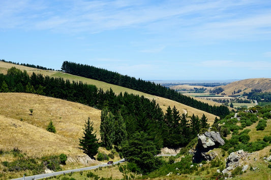School Holiday Activities in Christchurch: The Best Things to Do with Kids